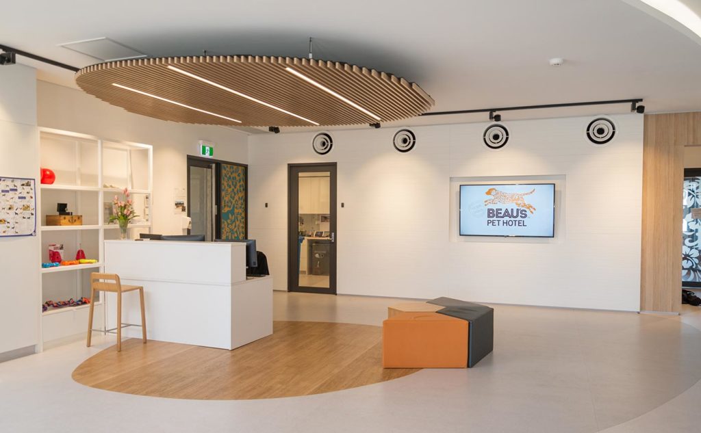 Beau’s Pet Hotel Chris Sale Consulting